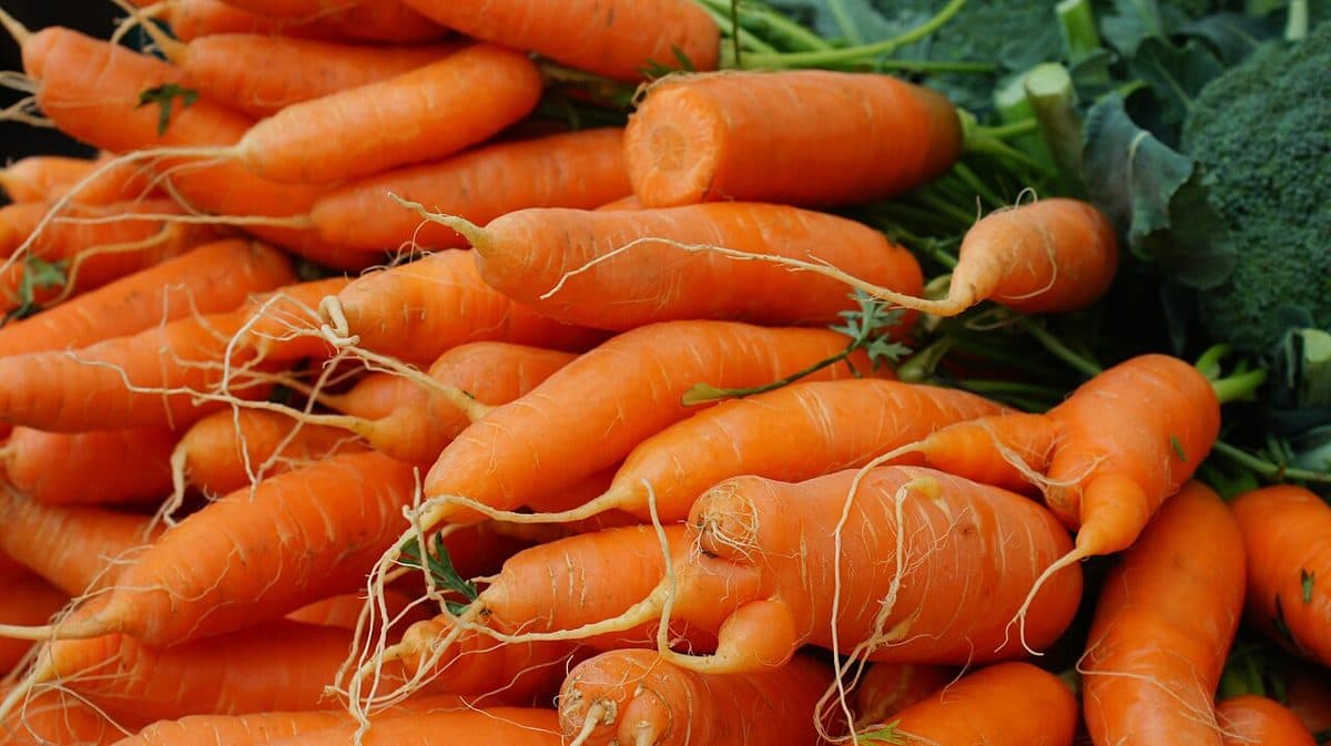 Fresh Carrots (1kg)