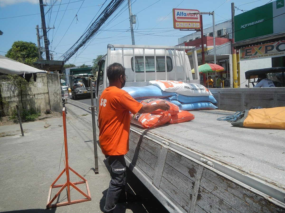 Organic Fertilizer (25kg)