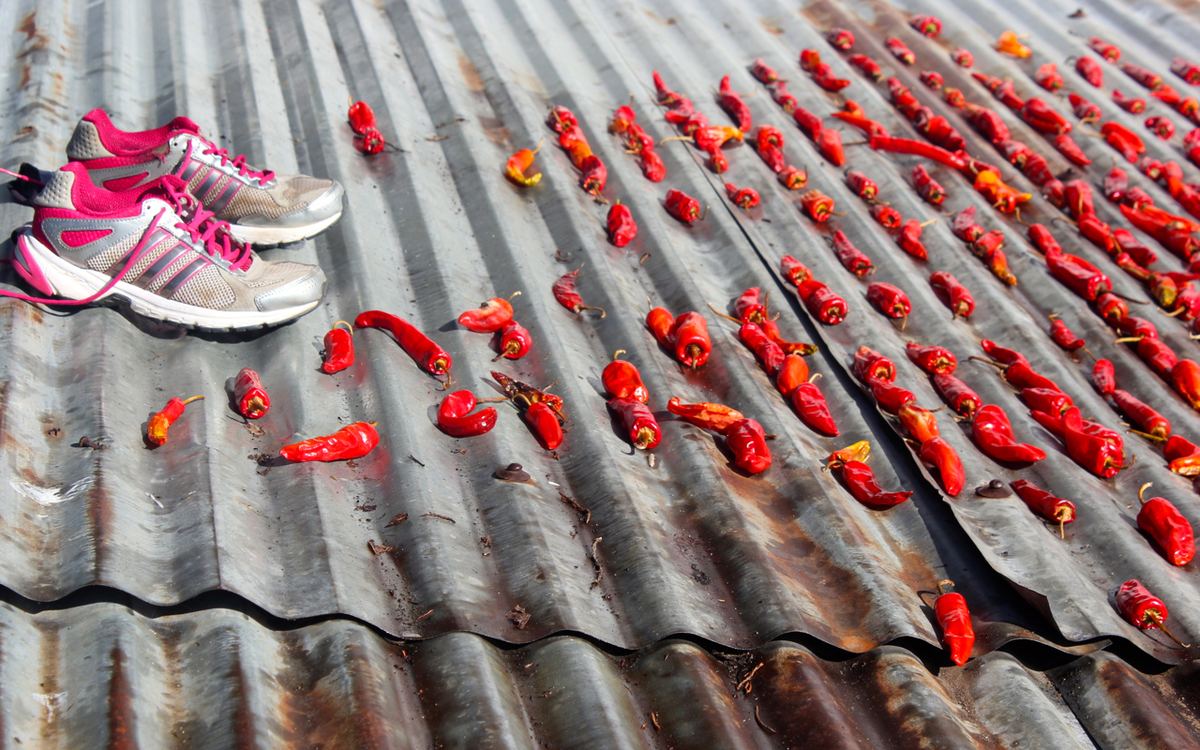 Pro Running Shoes