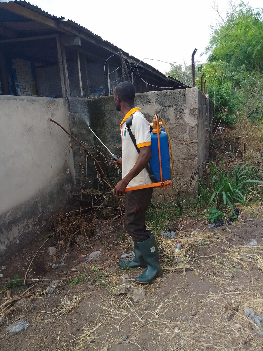 Knapsack Sprayer (16L)
