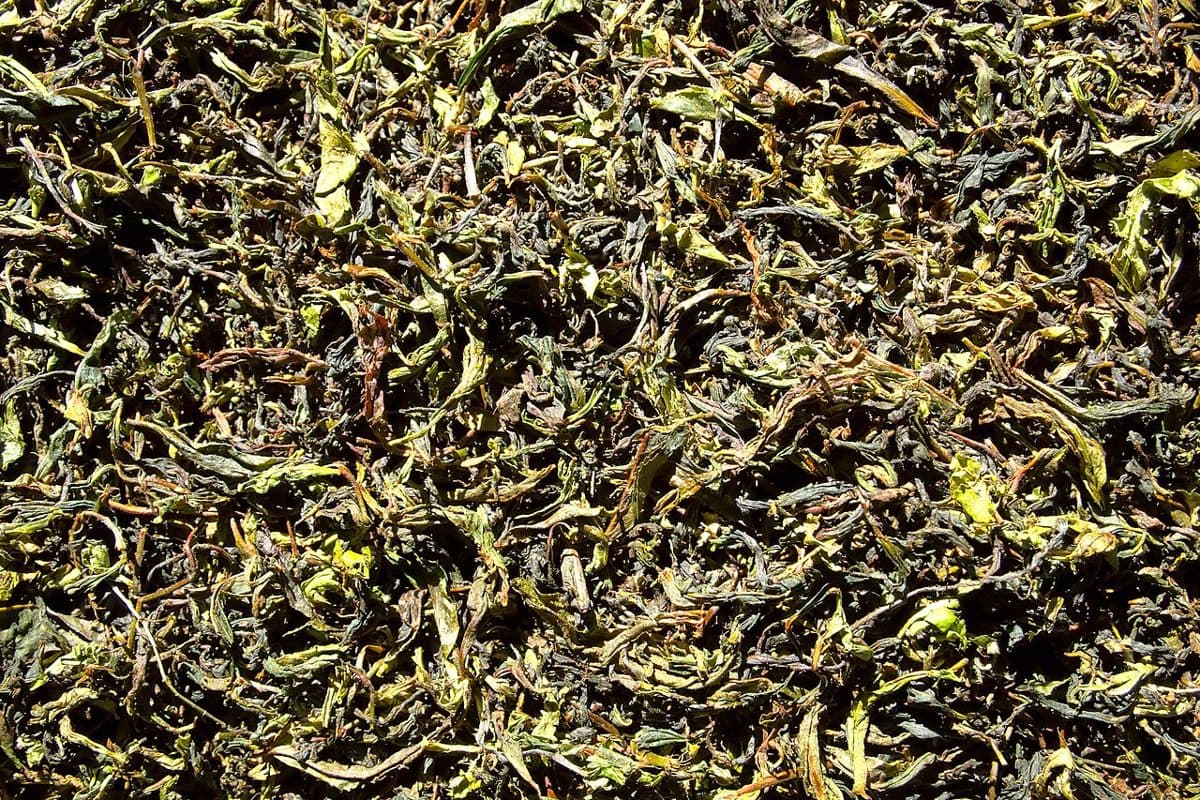Kenyan Black Tea (500g)